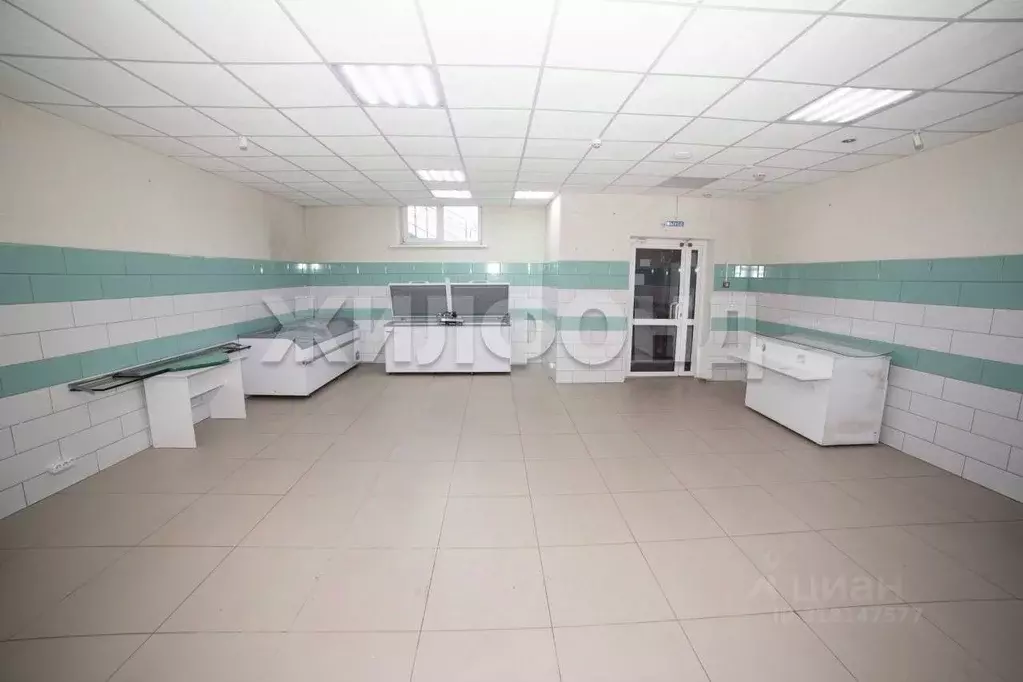 3-к кв. Новосибирская область, Новосибирский район, Краснообск рп 246 ... - Фото 1