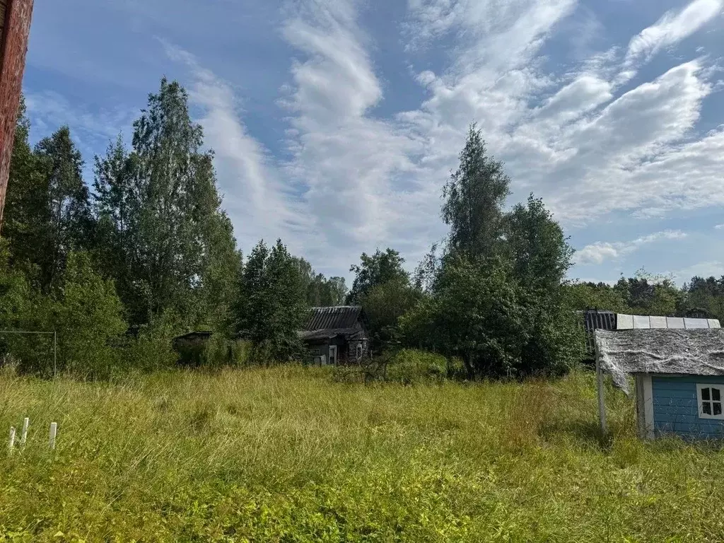 Участок в Ленинградская область, Гатчинский муниципальный округ, ... - Фото 1