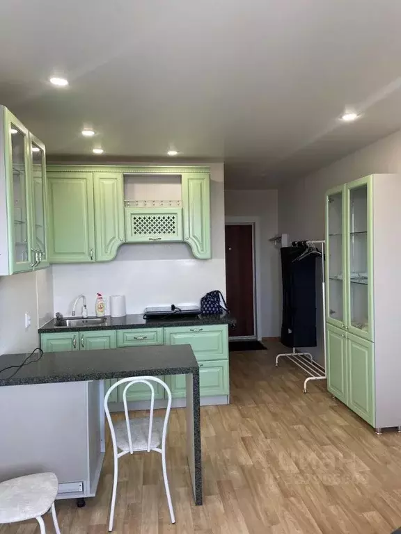 Студия Ленинградская область, Всеволожск ш. Дорога Жизни, 7к1 (25.0 м) - Фото 1