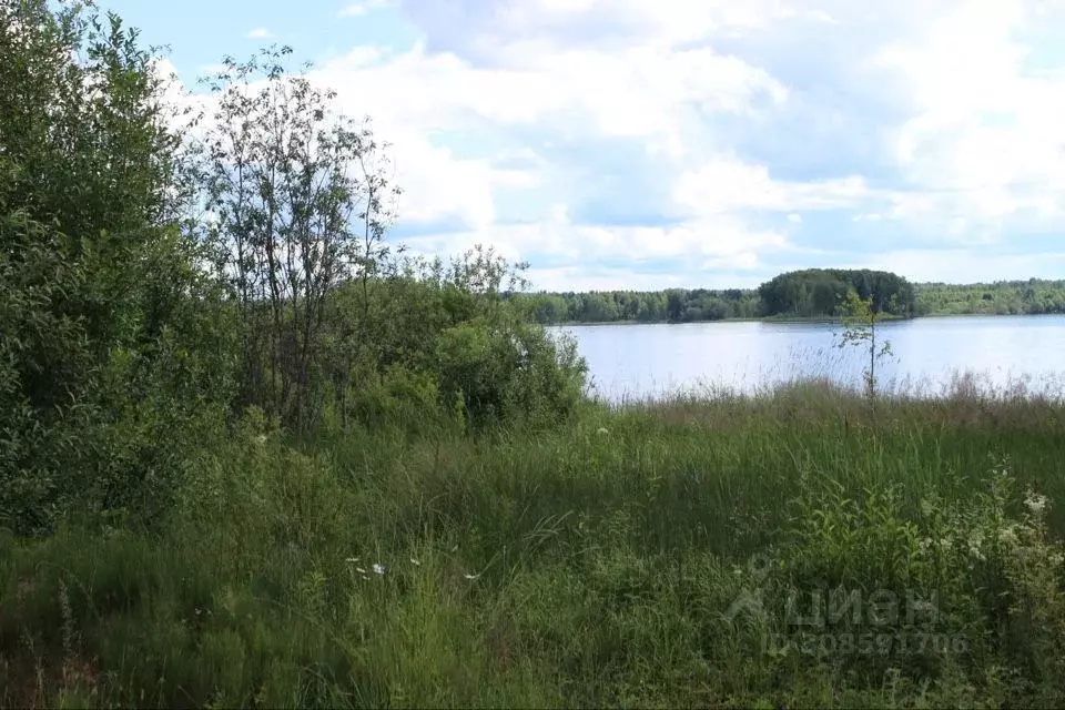 Участок в Новгородская область, Демянский муниципальный округ, д. ... - Фото 1