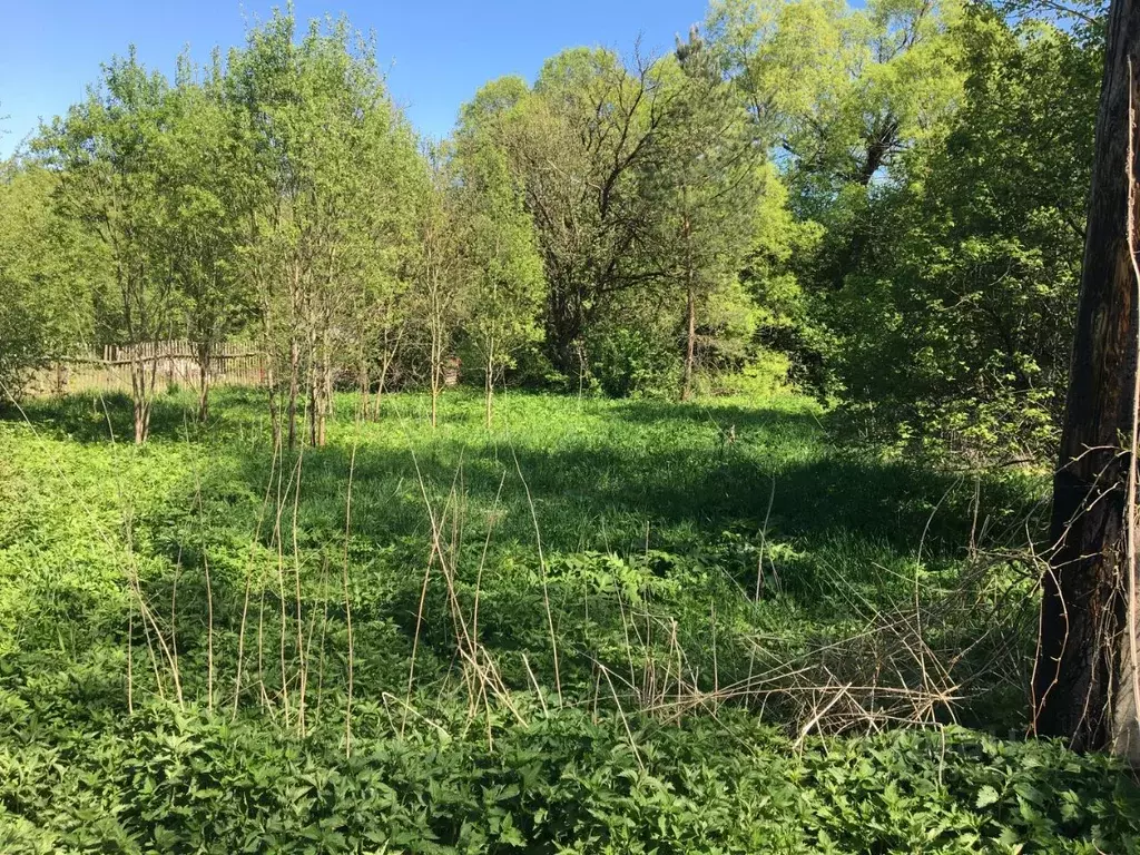 Дом в Калужская область, Калуга городской округ, д. Тимошево  (39 м) - Фото 2
