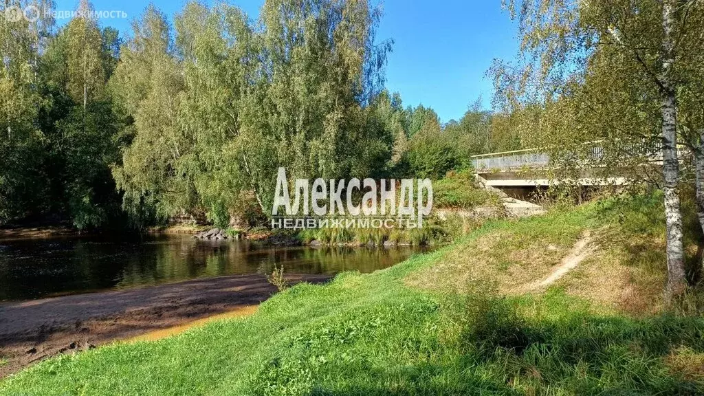 Участок в посёлок Пятиречье, Берёзовая улица (30 м) - Фото 1