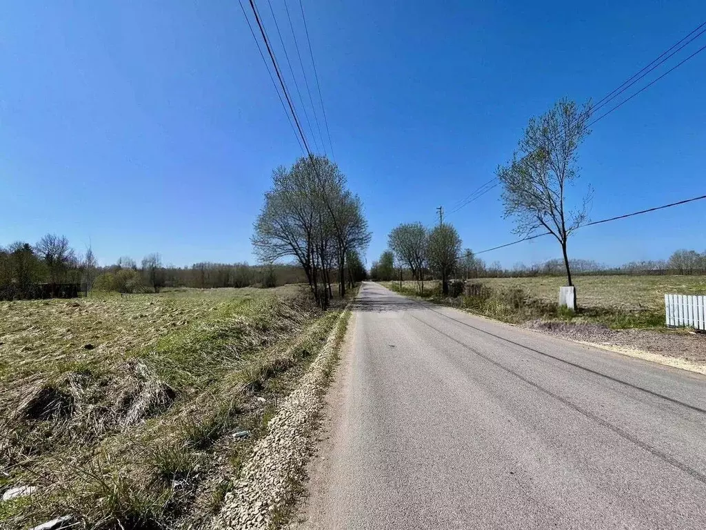 Участок в Ленинградская область, Ломоносовский район, Лопухинское ... - Фото 1