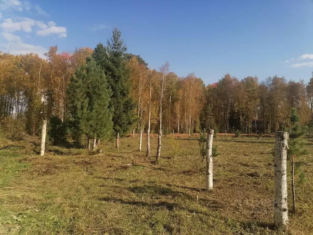 Участок в Томская область, Томский район, с. Коларово Кооперативная ... - Фото 0