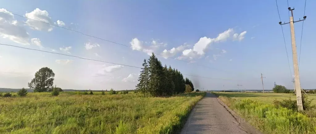 Участок в Нижегородская область, Богородский район, д. Килелей  (9.2 ... - Фото 0