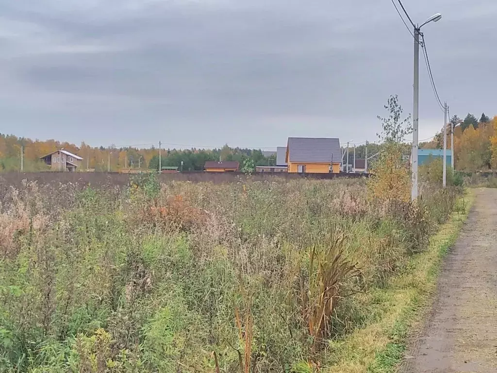 Участок в Московская область, Богородский городской округ, с. Стромынь ... - Фото 2