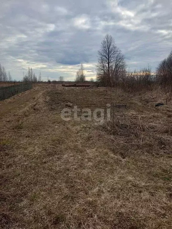 Участок в Ярославская область, Рыбинский муниципальный округ, д. ... - Фото 2