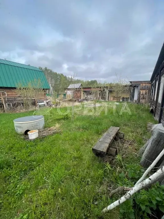 Участок в Тюменская область, Тюменский муниципальный округ, Боровский ... - Фото 2