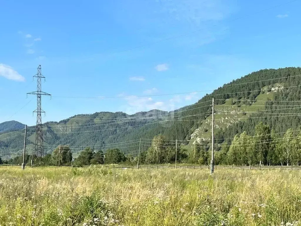 Участок в Алтай, Чемальский район, Элекмонарское с/пос, с. Элекмонар ... - Фото 2