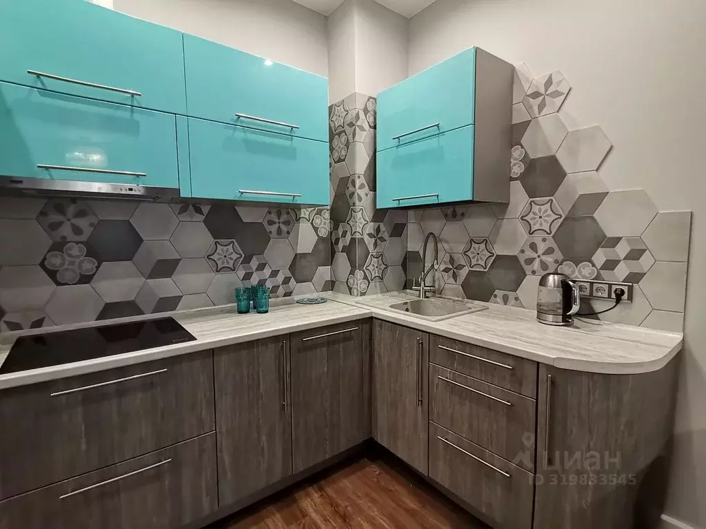 3-к кв. Новосибирская область, Новосибирск Красный просп., 222/2 (61.1 ... - Фото 2