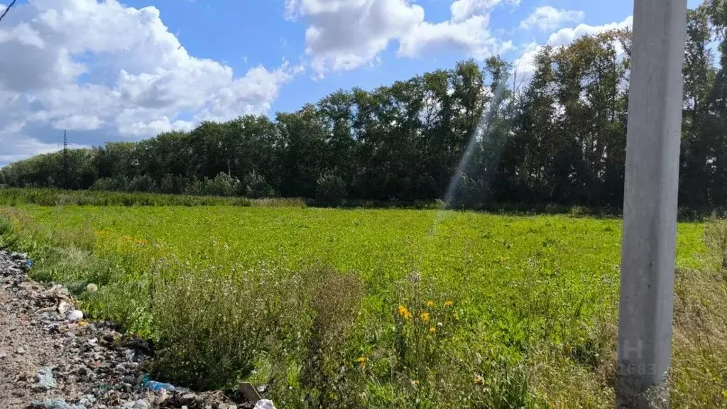 Участок в Омская область, Омский район, с. Пушкино ул. Ленина (15.0 ... - Фото 1