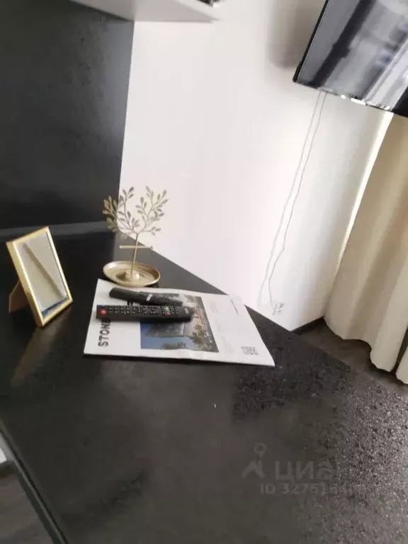 Студия Санкт-Петербург ул. Верхне-Каменская, 9к1 (25.0 м) - Фото 1