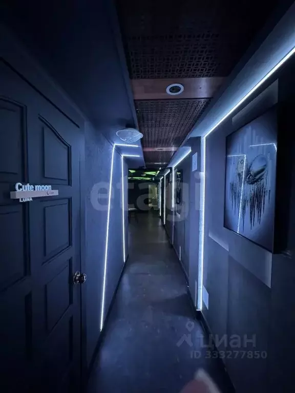 Помещение свободного назначения в Москва Фрунзенская наб., 14 (247 м) - Фото 1