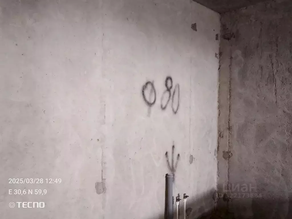 Помещение свободного назначения в Ленинградская область, Всеволожский ... - Фото 1