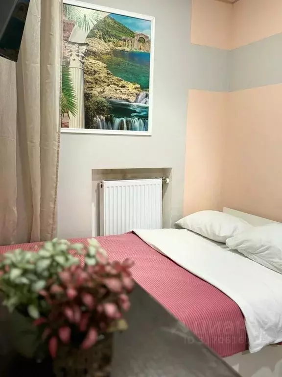1-к кв. Санкт-Петербург Рузовская ул., 33 (10.0 м) - Фото 1