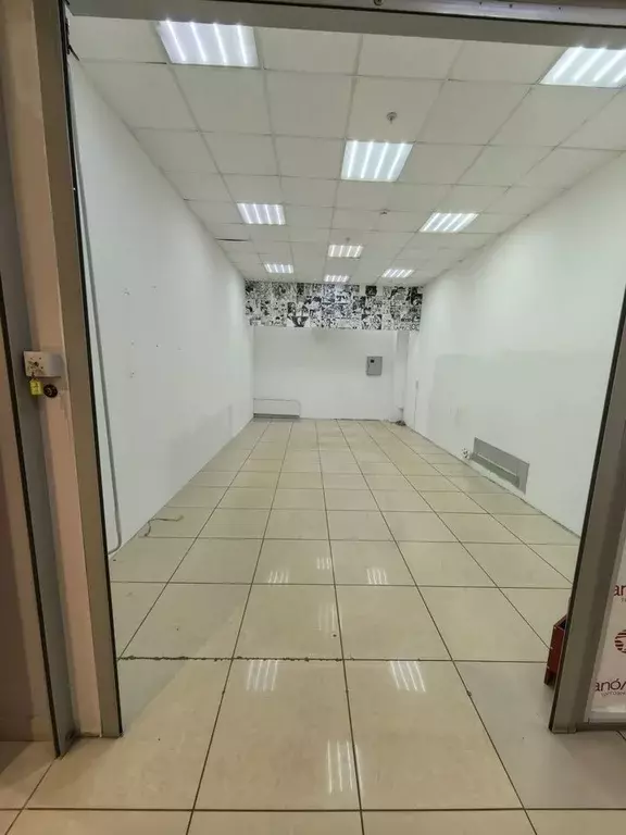 Торговая площадь в Ленинградская область, Гатчина просп. 25 Октября, ... - Фото 2