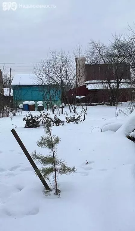 Дом в Орёл, СНТ Ягодка-3, 25 (20 м) - Фото 2