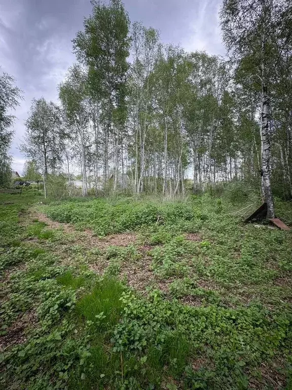 Участок 8,69 га (СНТ, ДНП) - Фото 0
