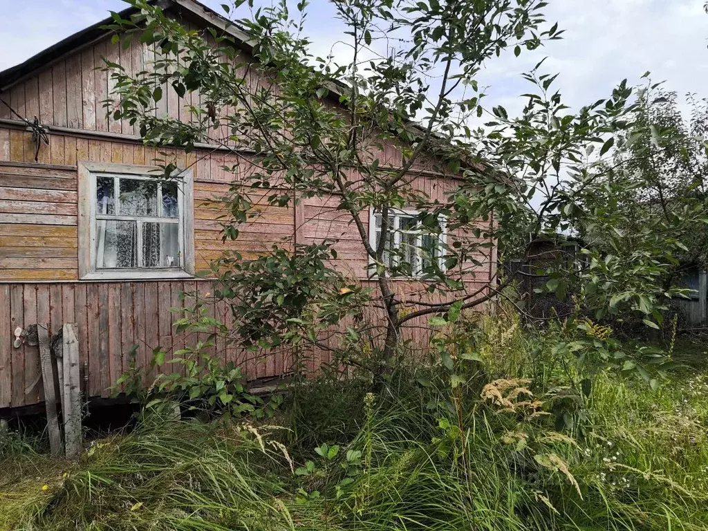 Дом в Брянская область, Брянск Рассвет-2 СТ, ул. Луговая (50 м) - Фото 1