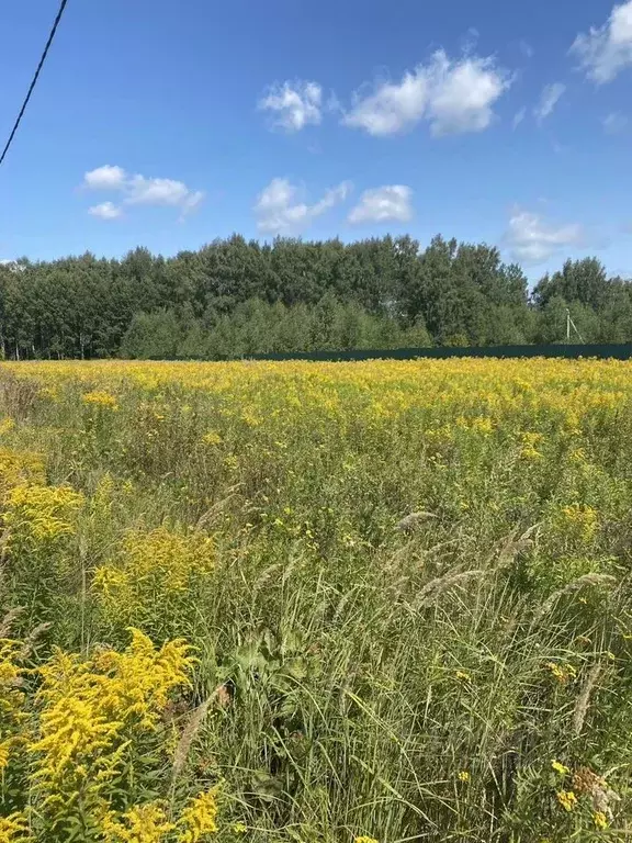 Участок в Московская область, Раменский муниципальный округ, пос. ... - Фото 0