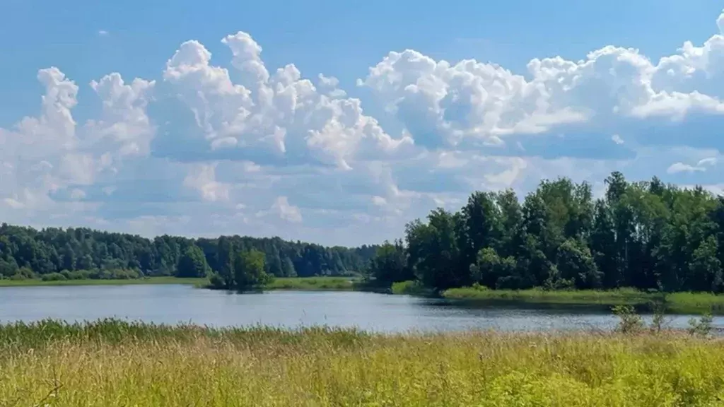 Участок в Ленинградская область, Приозерский район, Ромашкинское ... - Фото 0