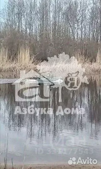 Участок в Ленинградская область, Шлиссельбург Кировский район, ... - Фото 1