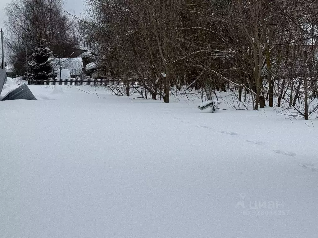 Участок в Московская область, Пушкинский городской округ, с. ... - Фото 1