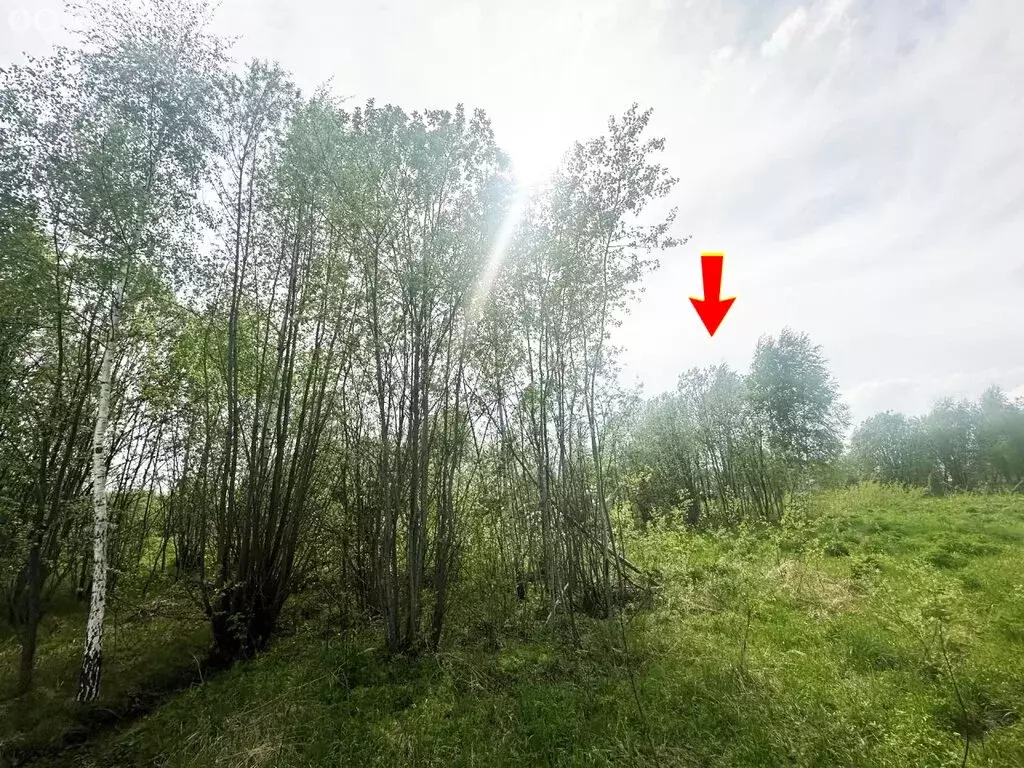 Участок в Московская область, городской округ Подольск, ДНТ Удача (8.5 ... - Фото 2