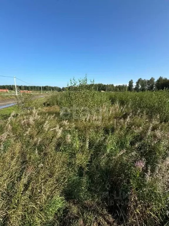 Участок в Томская область, Томский район, Слобода Вольная ДНП ул. ... - Фото 1