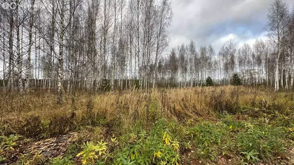Участок в Тверская область, Конаковский муниципальный округ, деревня ... - Фото 1