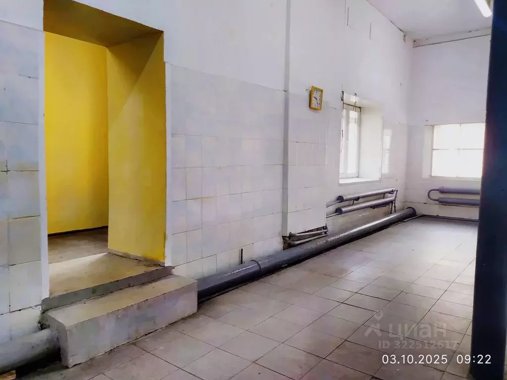 Производственное помещение в Московская область, Раменское ул. Карла ... - Фото 2