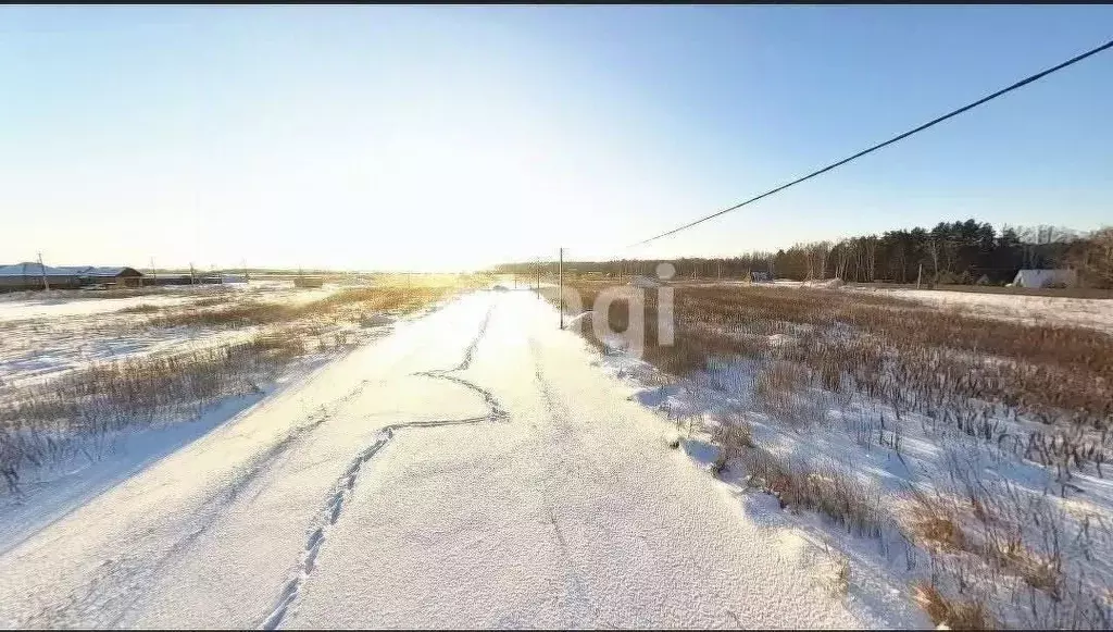Участок в Тюменская область, Тюменский муниципальный округ, с. Каменка ... - Фото 0