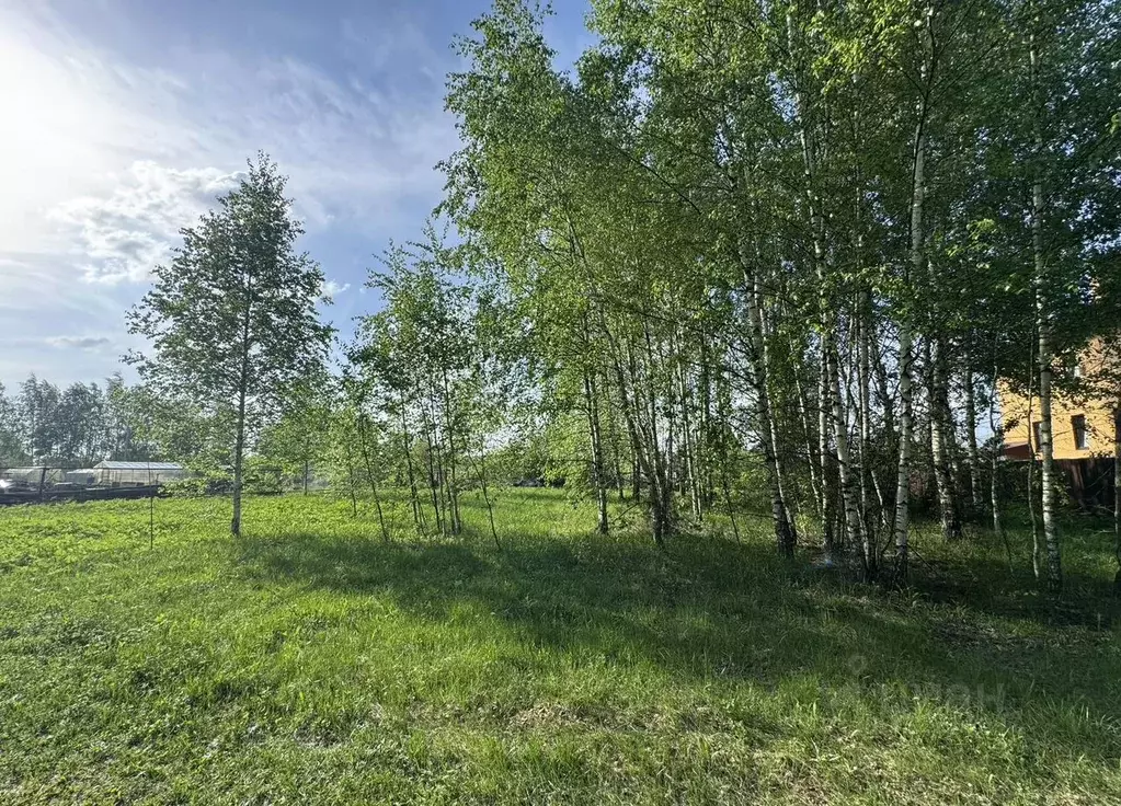 Участок в Московская область, Орехово-Зуевский городской округ, д. ... - Фото 2