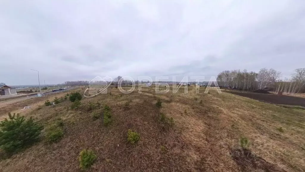 Участок в Тюменская область, Тюменский район, Новокаменский кп ул. ... - Фото 0