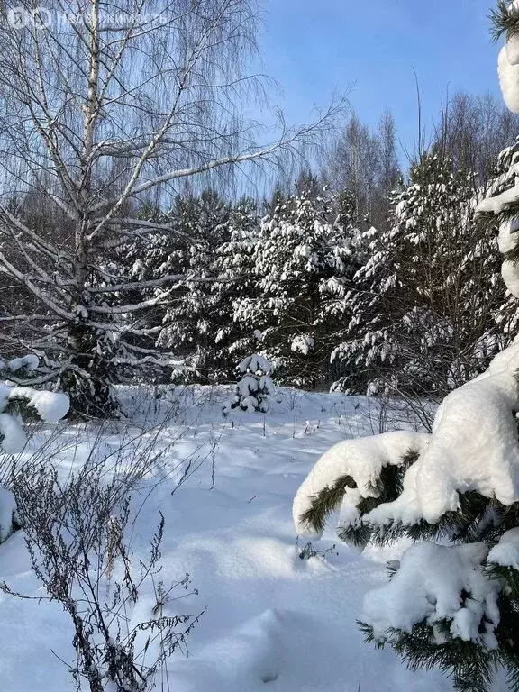 Участок в Тверская область, Кимрский муниципальный округ, деревня ... - Фото 1