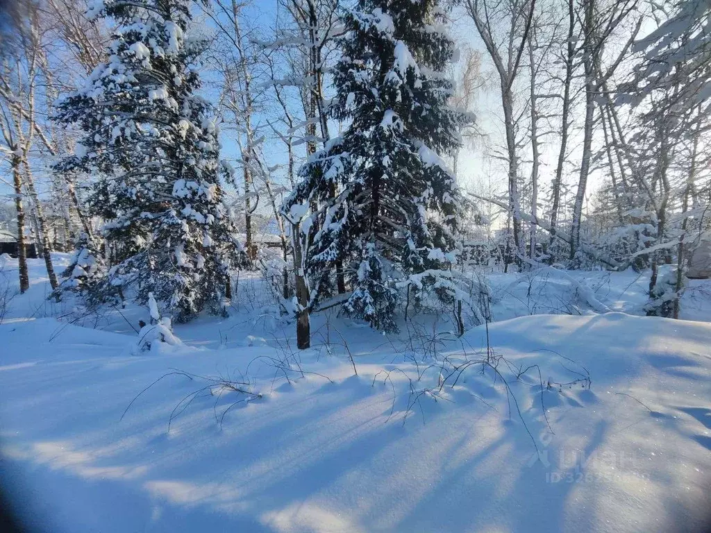 Участок в Московская область, Солнечногорск городской округ, д. ... - Фото 1