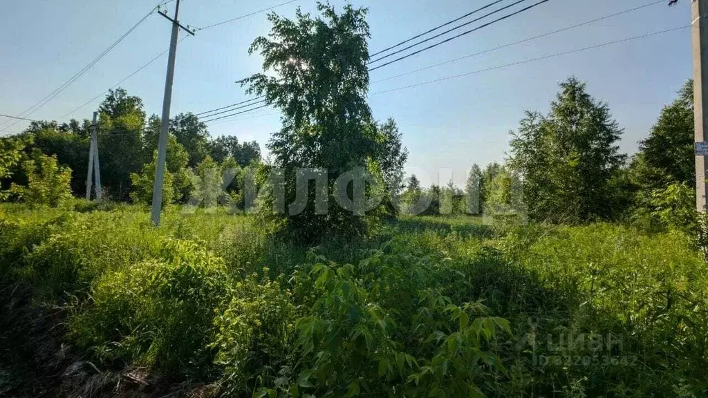 Участок в Новосибирская область, Новосибирск 1-й Биатлонный пер. (9.33 ... - Фото 2