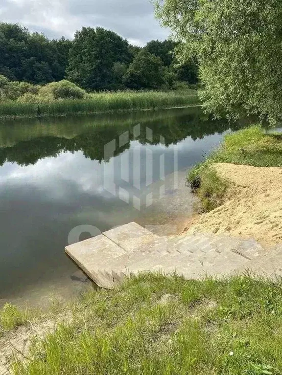 Участок в Липецкая область, Хлевенский муниципальный округ, с. ... - Фото 2