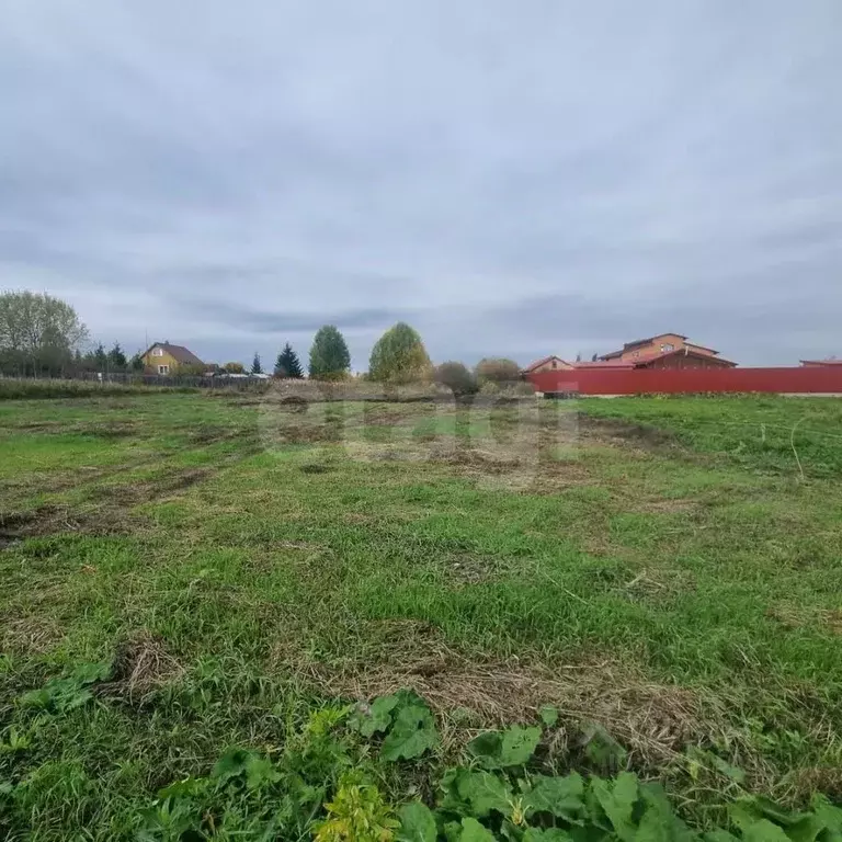 Участок в Тюменская область, Тюменский муниципальный округ, д. Речкина ... - Фото 2