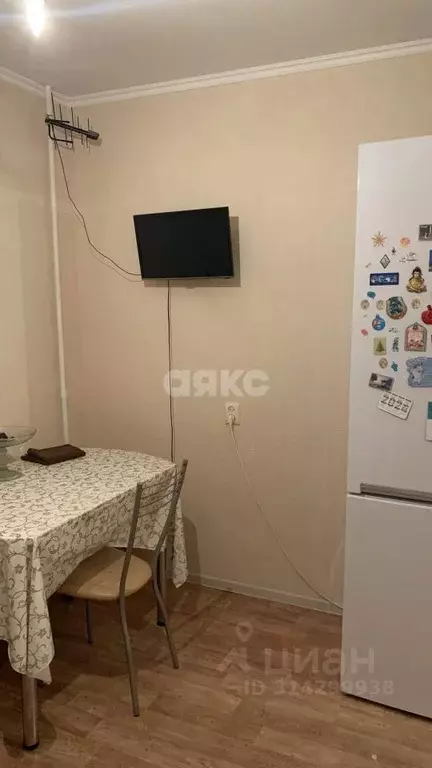 1-к кв. Адыгея, Майкоп ул. Димитрова (28.0 м) - Фото 1