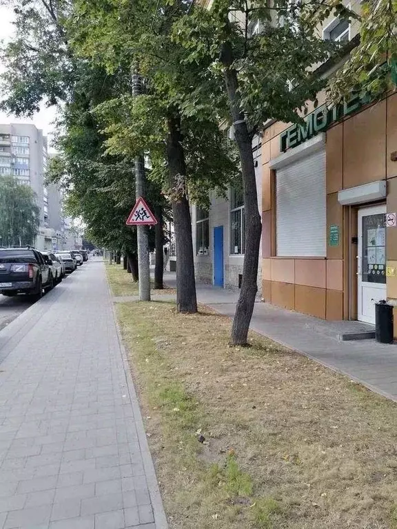 Торговая площадь в Воронежская область, Воронеж Пушкинская ул., 18 (78 ... - Фото 1