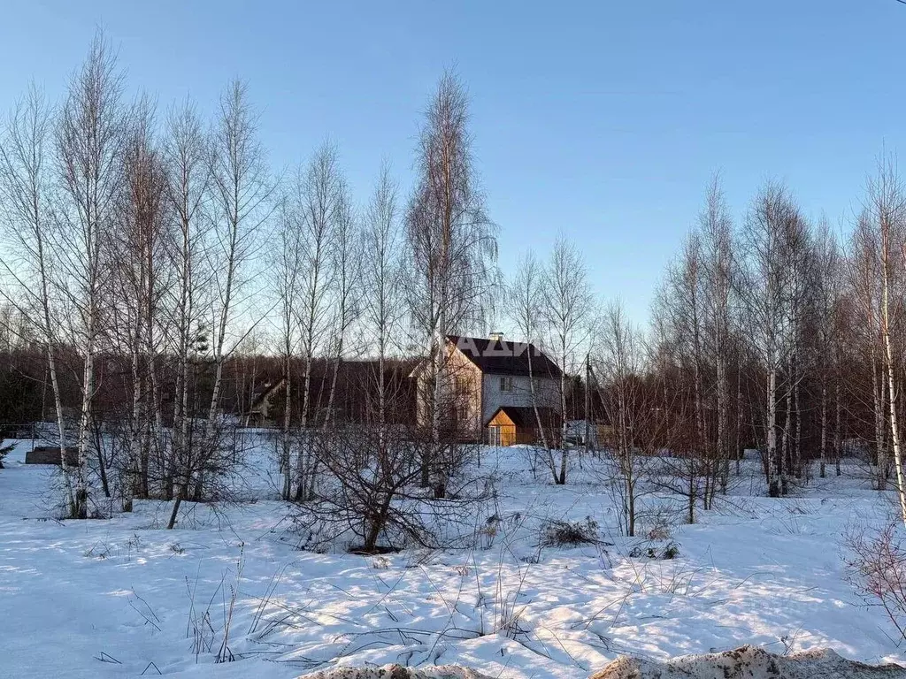 Участок в Нижегородская область, Чкаловск муниципальный округ, с. ... - Фото 2