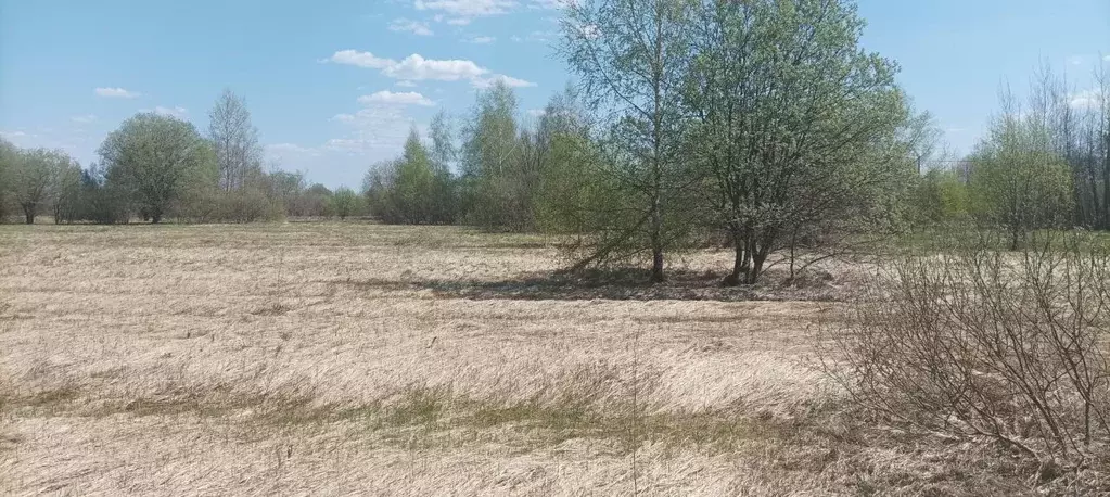 Участок в Московская область, Шатура муниципальный округ, с. Пышлицы ... - Фото 2