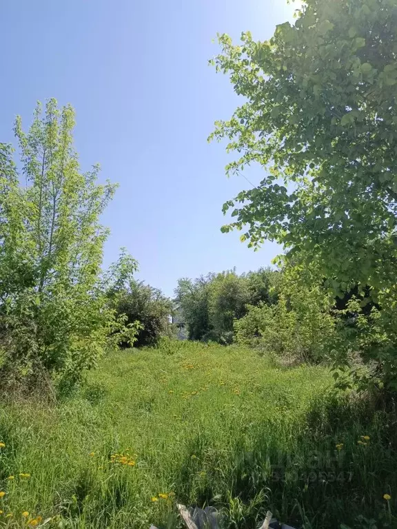 Участок в Нижегородская область, с. Безводное  (6.0 сот.) - Фото 1