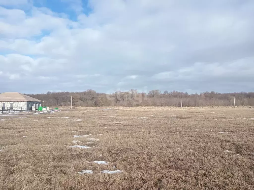 Участок в Белгородская область, Яковлевский городской округ, с. Шопино ... - Фото 1