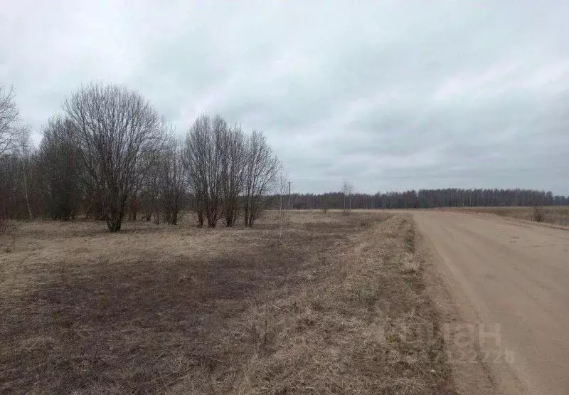 Участок в Московская область, Дмитровский муниципальный округ, д. ... - Фото 0