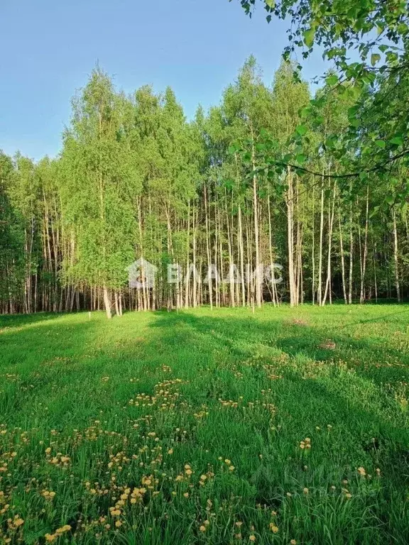 Участок в Владимирская область, Владимир Лунево мкр, ул. Луневская ... - Фото 1
