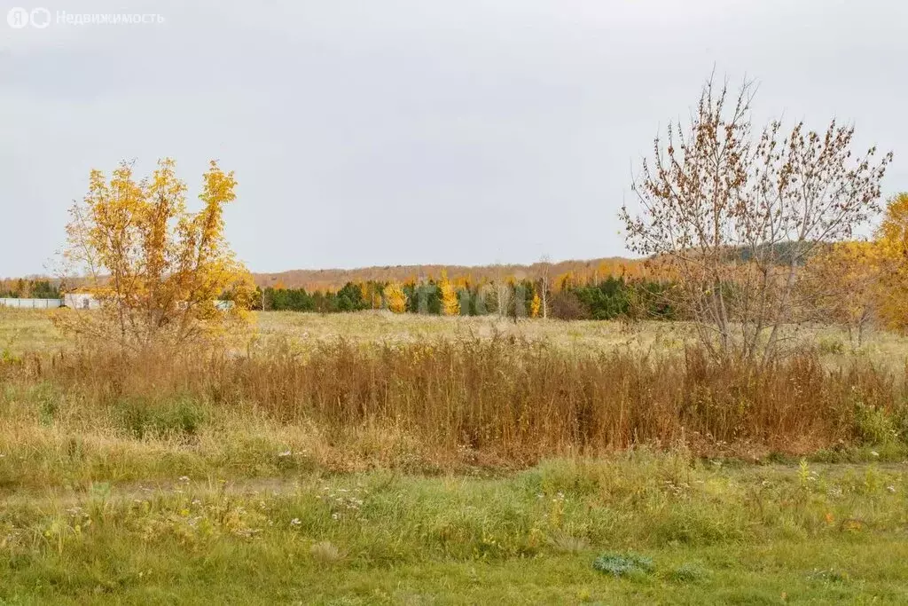 Участок в Тюменская область, Ишимский муниципальный округ, посёлок ... - Фото 1
