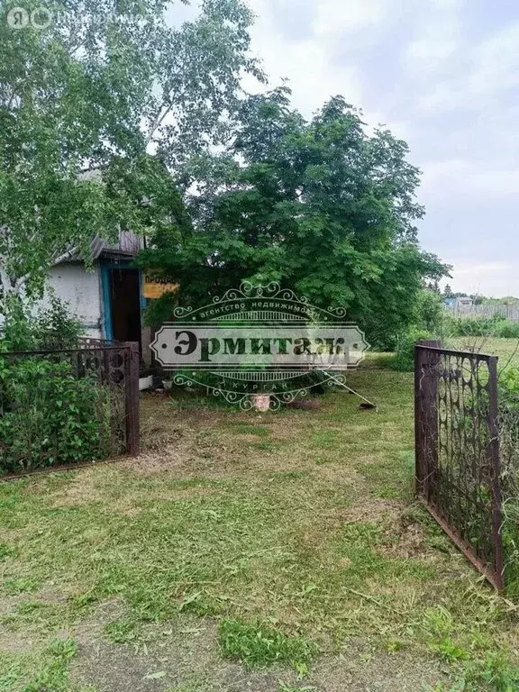 Дом в Курган, СНТ Черёмушки-4, Новая улица, 431 (32 м) - Фото 2