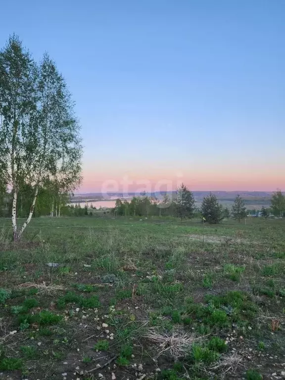 участок в нижегородская область, кстовский муниципальный округ, с. . - Фото 0